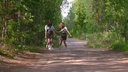 Girl Scouts Honor